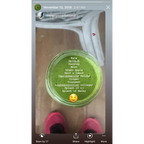An overhead view shows a smoothie made with Organic Japanese Matcha Green Tea Powder, surrounded by its ingredients, and feet in pink shoes visible at the bottom.