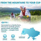 Two women in traditional dress pick herbs in a sunny mountain field—highlighting the origin of our Herbal Sleep Tea, 60 Bags, crafted from caffeine-free Carpathian botanicals; map shows Carpathian Mountains in Ukraine.