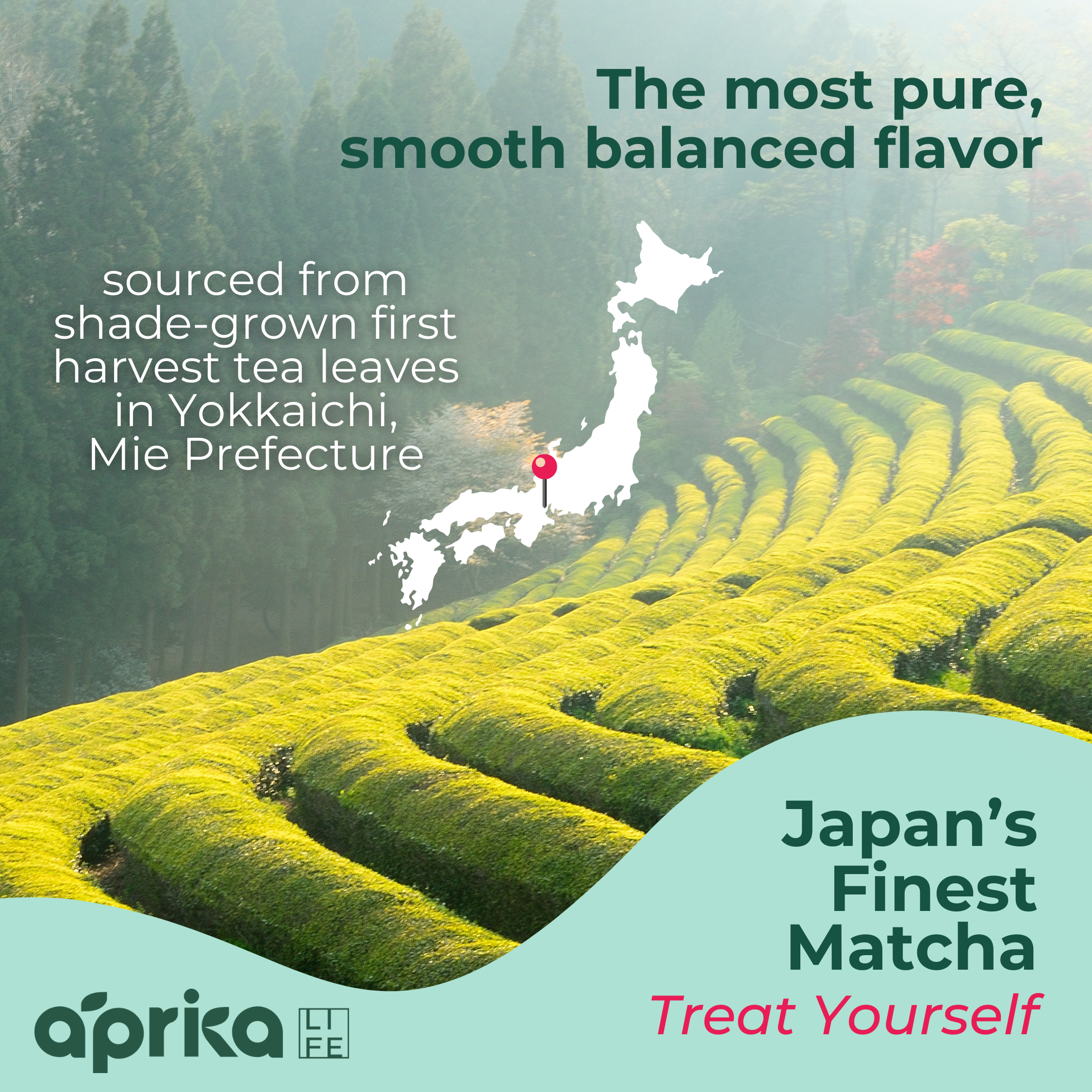 Discover the lush tea fields with our promo for Organic Japanese Ceremonial Grade Matcha Green Tea Powder. It includes a map of Japan highlighting Yokkaichi in Mie Prefecture, where this exquisite matcha is sourced.
