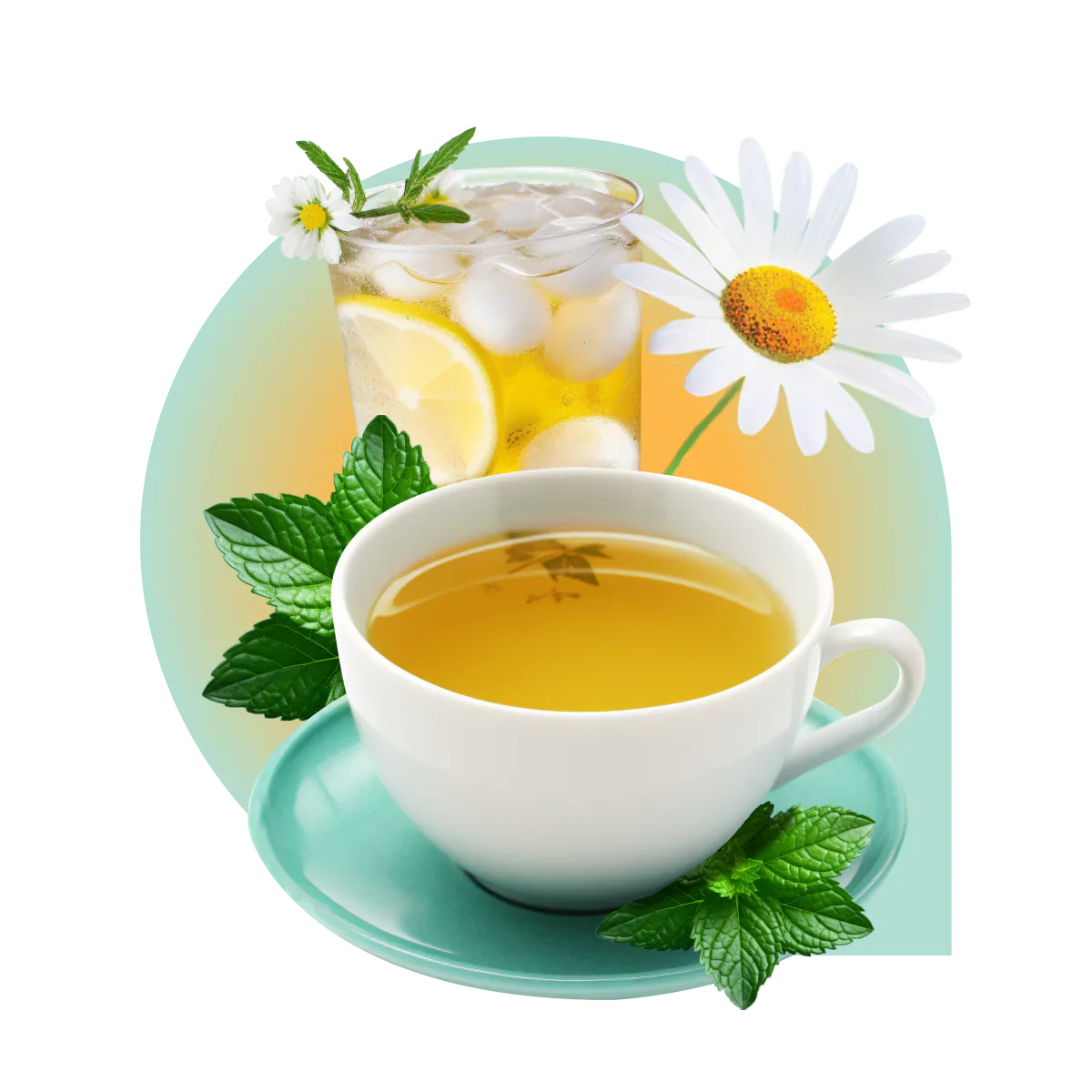 A cup of herbal tea and a glass of iced tea with lemon, mint leaves, and chamomile flowers.
