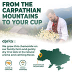 A man in traditional clothing gathers chamomile flowers in Ukraine’s Carpathian Mountains, the source of our 100% Pure Chamomile Herbal Tea, 60 Bags—valued for its calming, caffeine-free flavor. Map highlights this unique region.