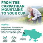 A man in traditional clothing picks herbs in a green field, reflecting wellness traditions. "100% Pure Peppermint Herbal Tea, 60 Bags" text and a Ukraine map add local context.