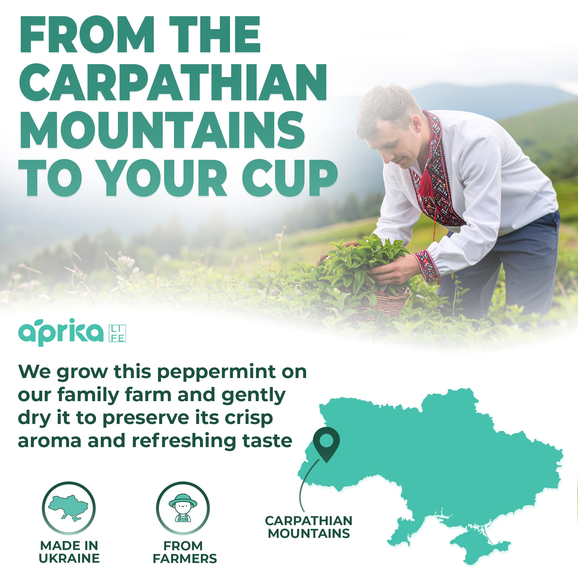 A man in traditional clothing picks herbs in a green field, reflecting wellness traditions. "100% Pure Peppermint Herbal Tea, 60 Bags" text and a Ukraine map add local context.